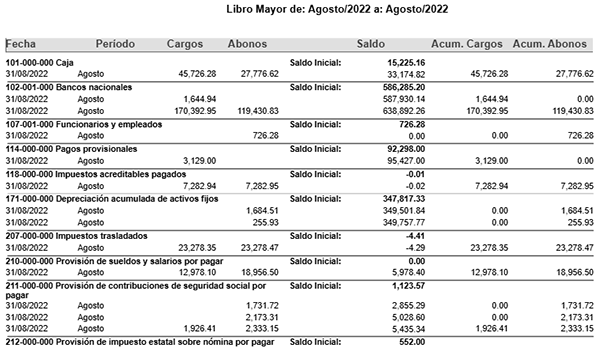 libro mayor